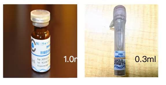 CyTIX WJexo 外泌体免疫激活点滴